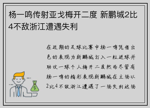 杨一鸣传射亚戈梅开二度 新鹏城2比4不敌浙江遭遇失利